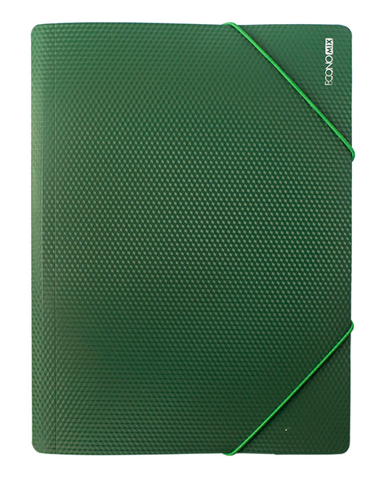 Папка на резинці А4 Economix 31601/31633 (20)